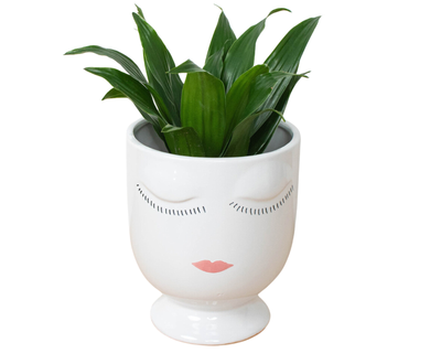 The Face Planter