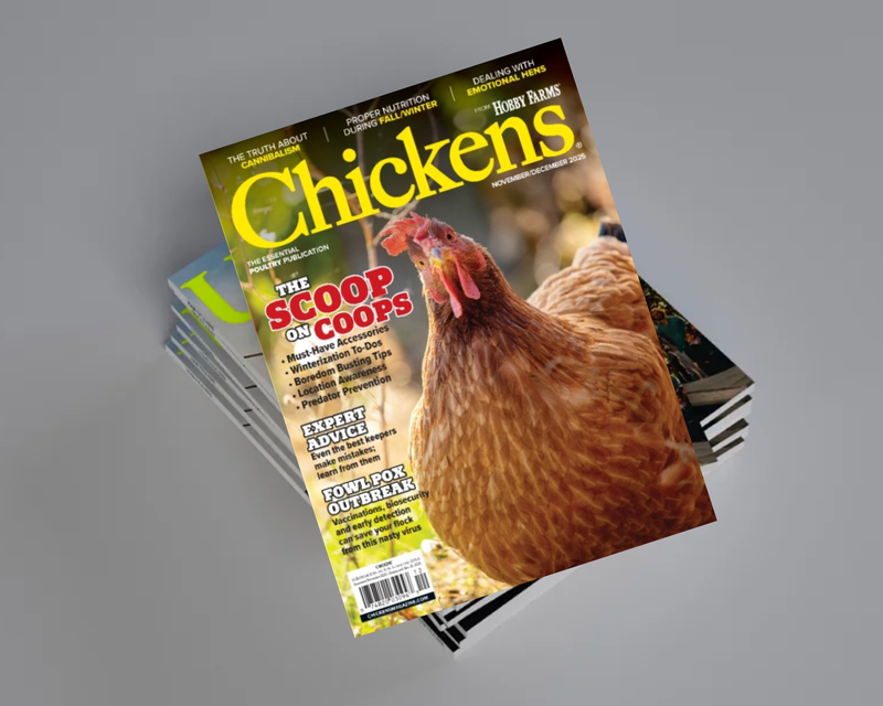 Chickens 1 Year Subscription