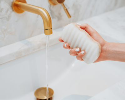 Konjac Walnut Shell Exfoliating Body Sponge
