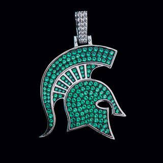 Michigan State University