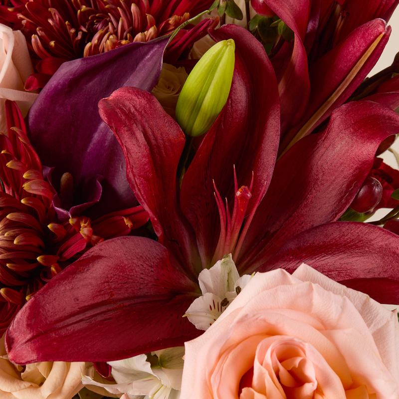 Velvet Grand Bouquet