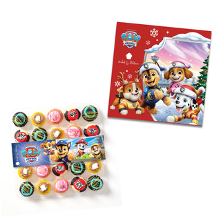 Paw Patrol Holiday