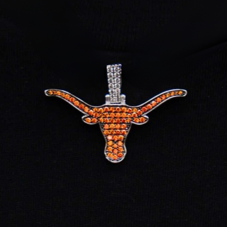 University of Texas