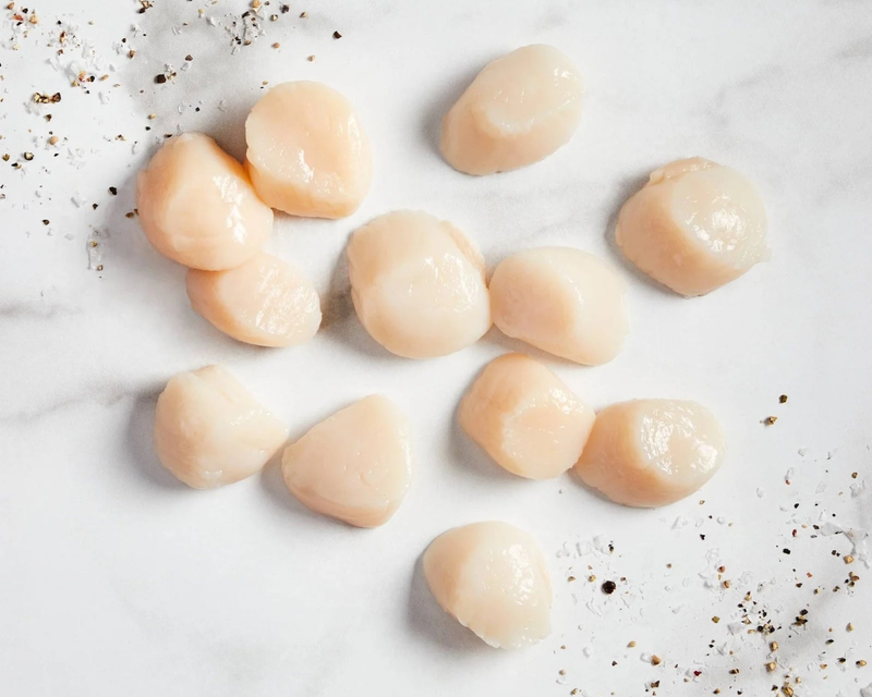 The Seafood Indulgence Collection