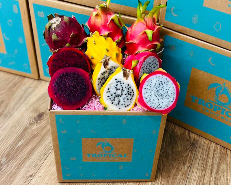 Dragon Fruit Pitahaya Mix Box