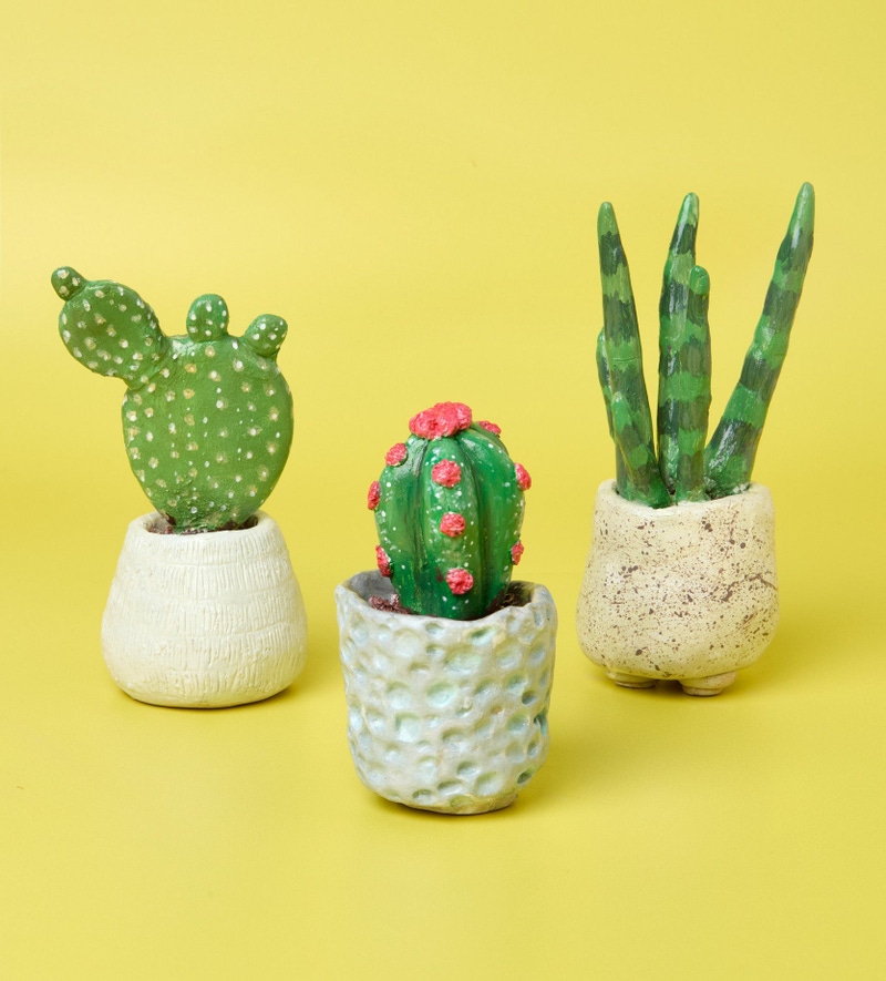 Succulent Sculptures Home Pottery Kit