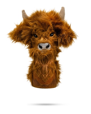 Highland Cow