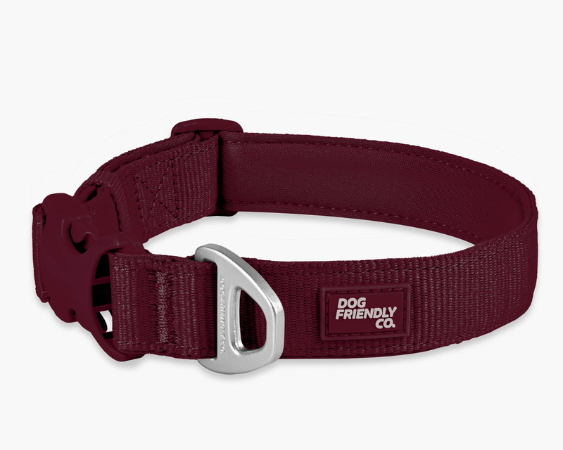 Essentials Collar