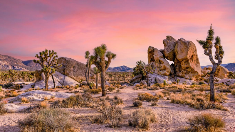 National Park Getaway for 2