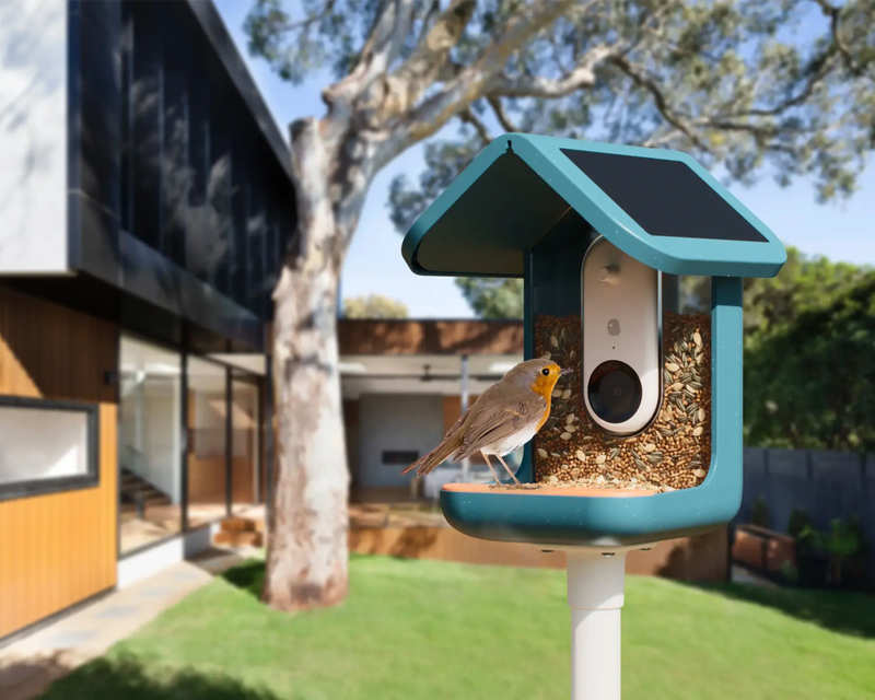 Smart Bird Feeder with Solar Roof