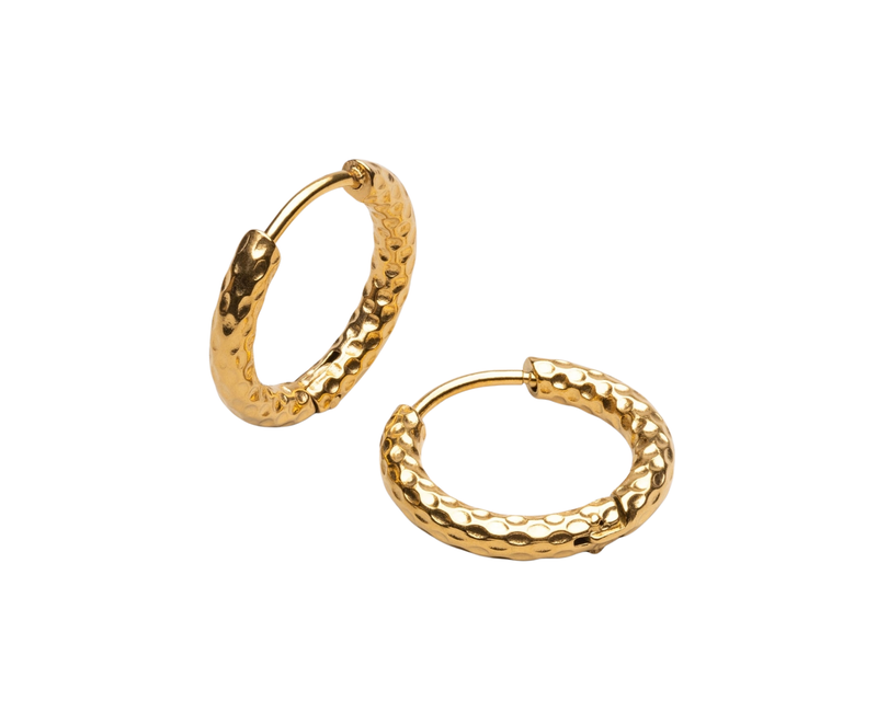 Hammered Hoops Earrings