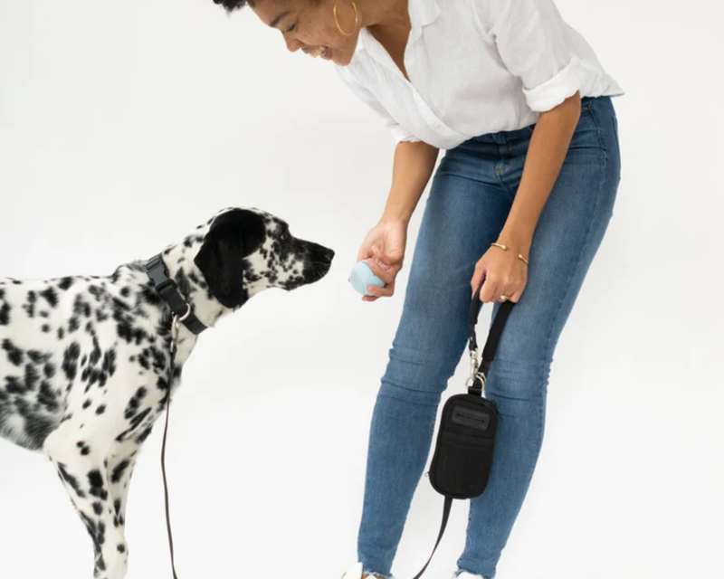Walk Bag + Dog Leash