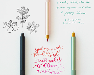 Lumos Mini Refillable Fineliner, Writing and Brush Pen
