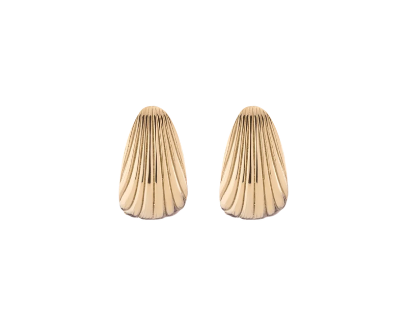Shell Hinged Hoop Earrings