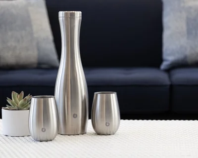 Stainless Steel Carafe and Wine Glass Set