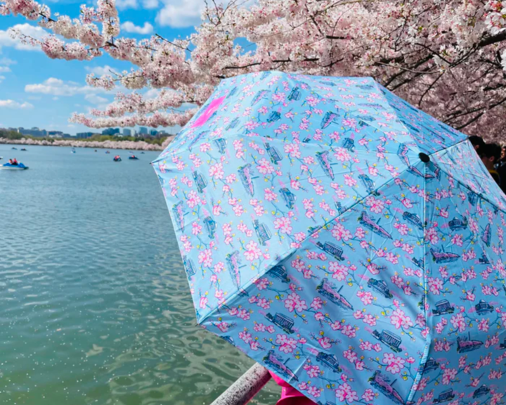 High and Dry Umbrella