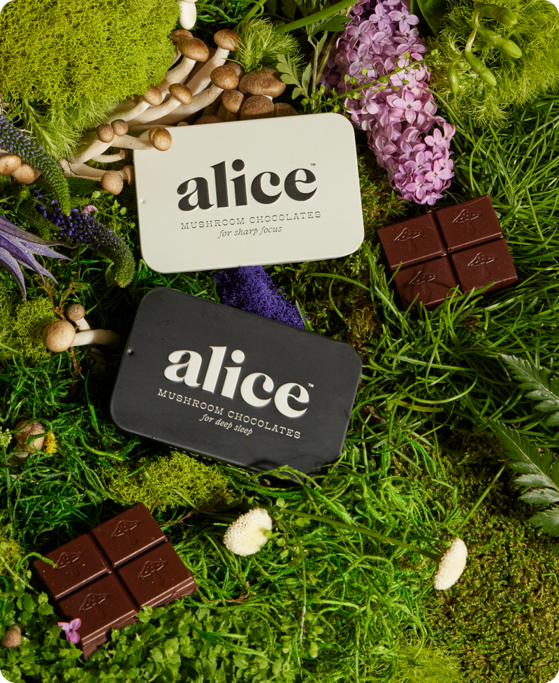 2 Tins Mushroom Chocolates