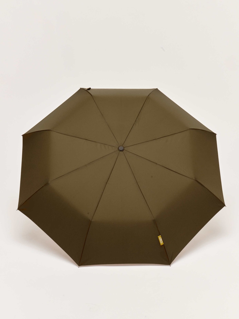 The Daily Umbrella
