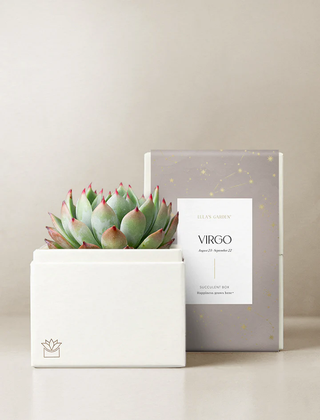 Virgo Garden