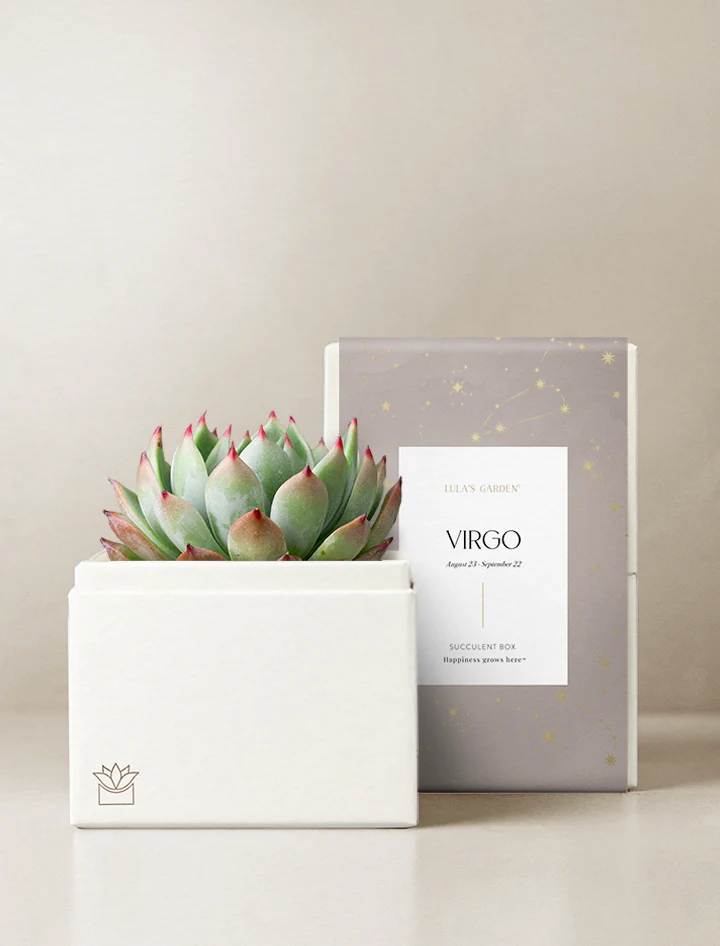 Birthday Astrology Garden