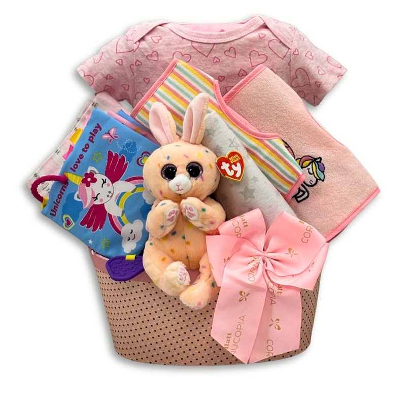 Welcome to the World Baby Gift Basket