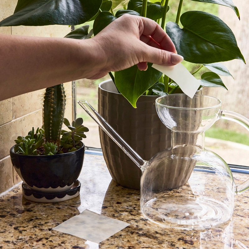 Dissolving Plant Food Sheets, 20-Pack