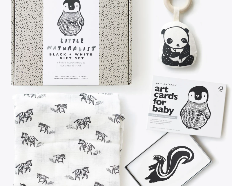 Newborn Baby Gift Set