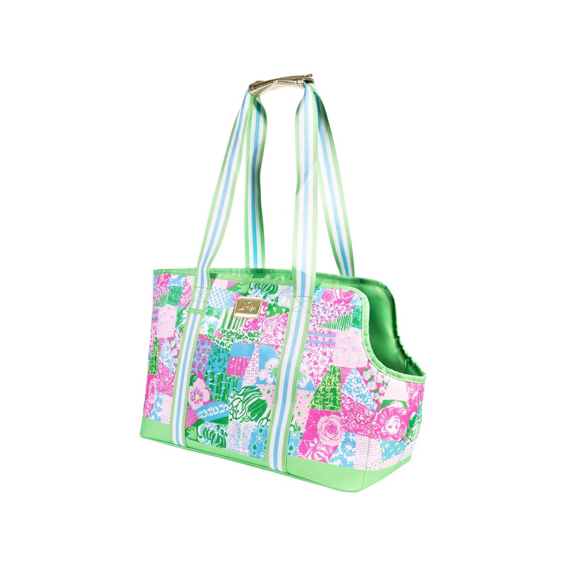 Pet Carrier