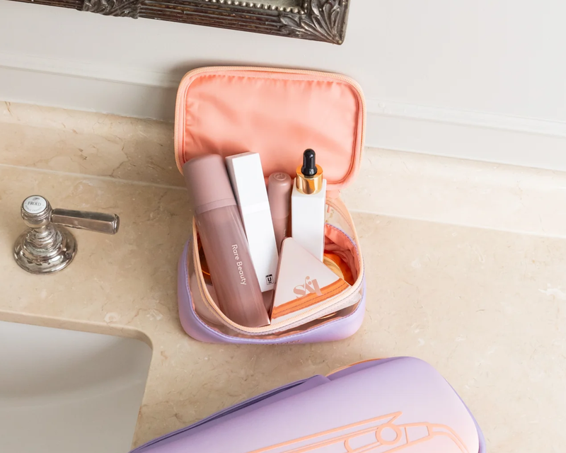 Mini Clear Train Case