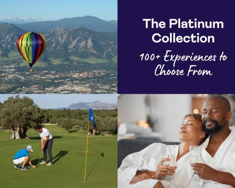 The Platinum Business Collection