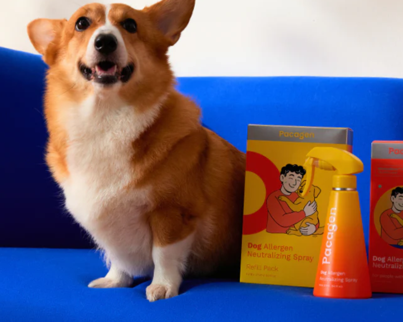 Dog Allergen Neutralizing Spray