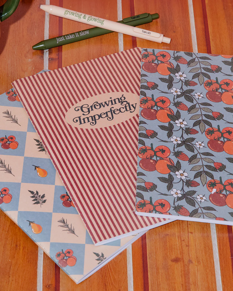 Rough Draft Notebook Set of 3