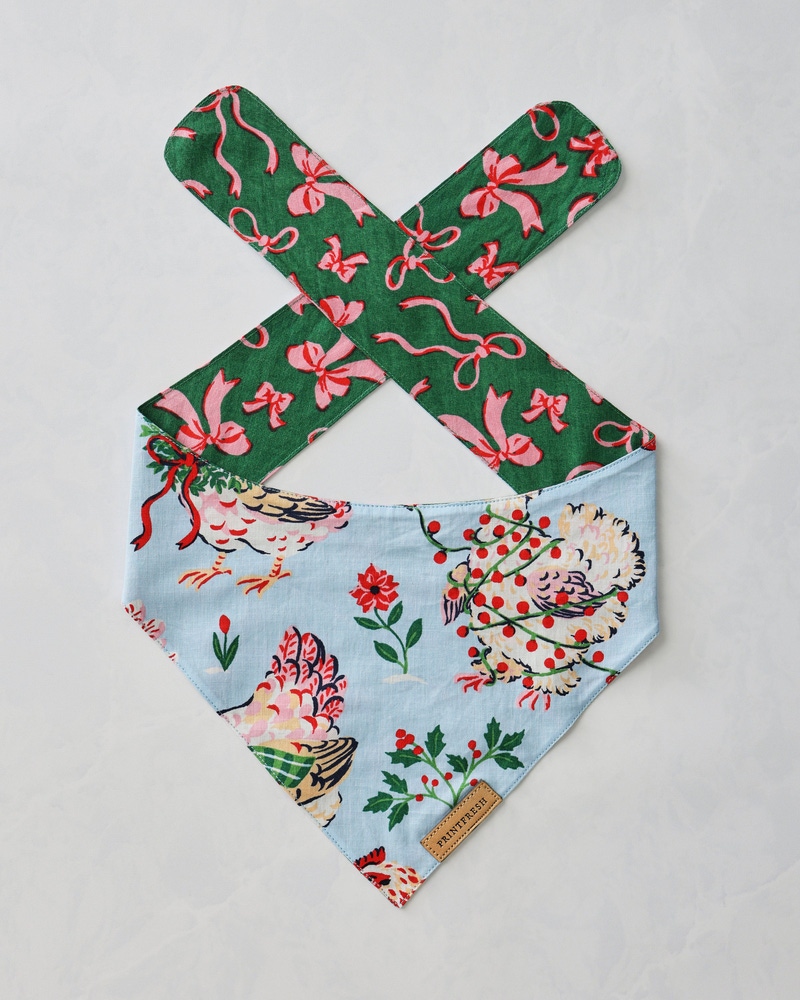 Small Pet Bandana