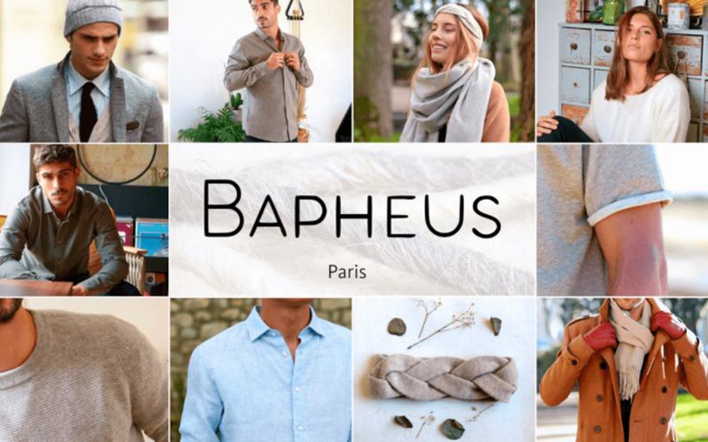 Bapheus FR