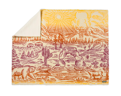Iconic Parks Ombre High Pile Fleece Throw