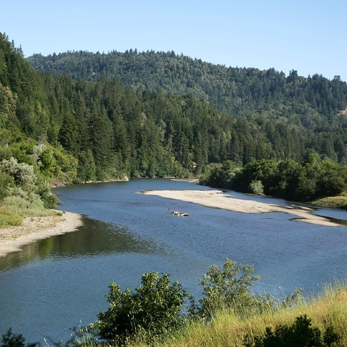 California Redwoods and Wineries Tour