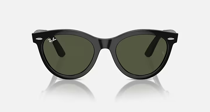 Wayfarer Way Sunglasses