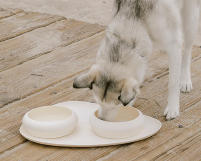 Bubble Bowls & Mat Set