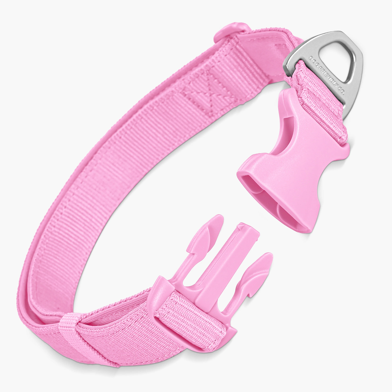Essentials Collar