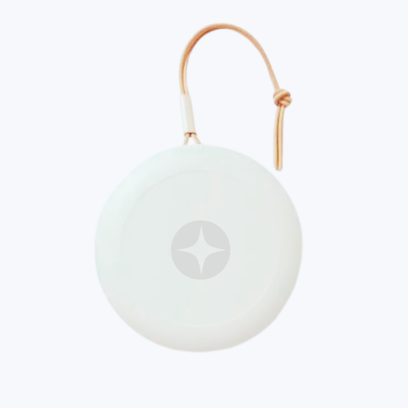 Branded Bang & Olufsen Beosound A1 Gen 3 Speaker