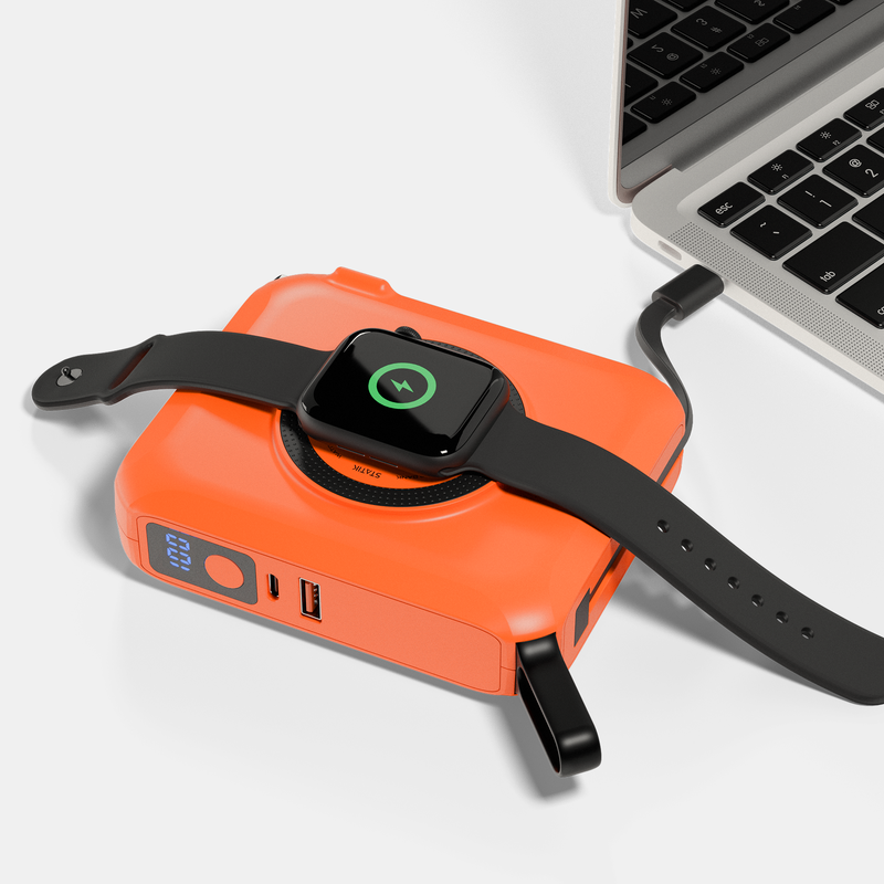 SmartCharge Pro All-in-One Charging Station