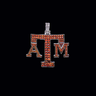Texas A&M University