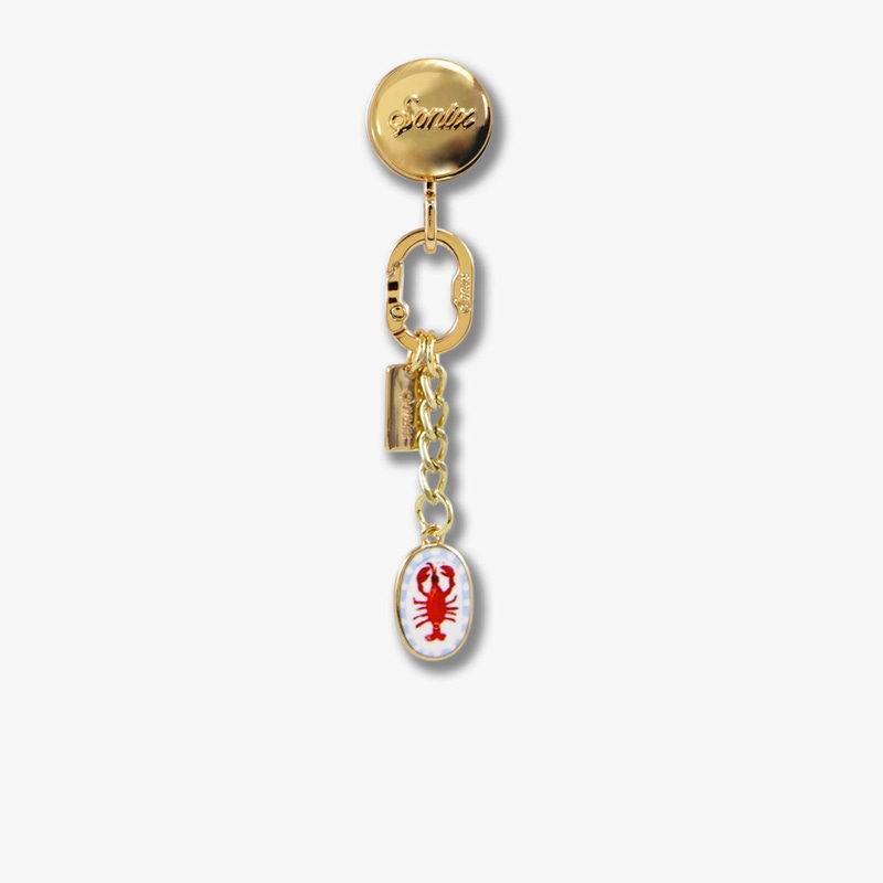 Adhesive Phone Hook with Charms
