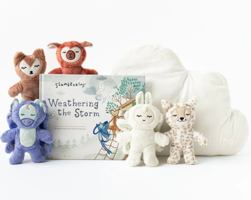 Pillow and Book Set 
