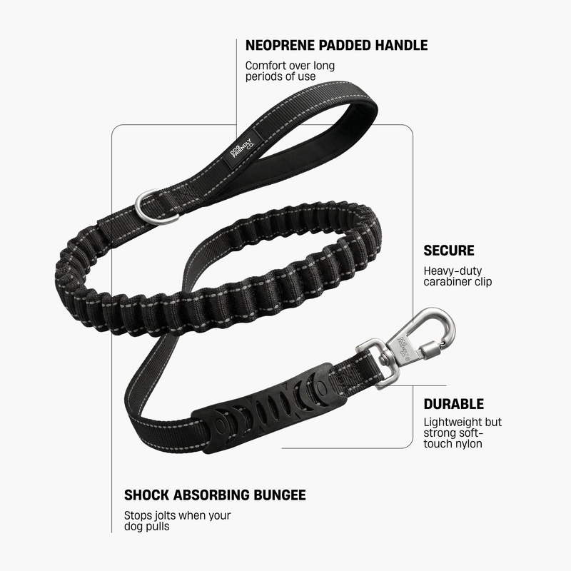 Bungee Dog Leash