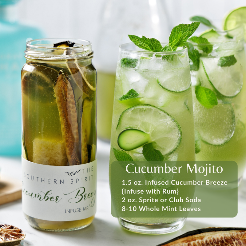 Cocktail Infusion Kit