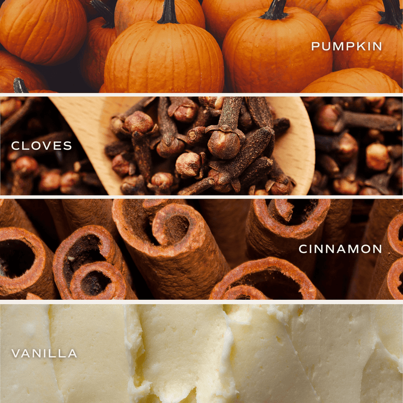 Pumpkin Spice 8oz Candle