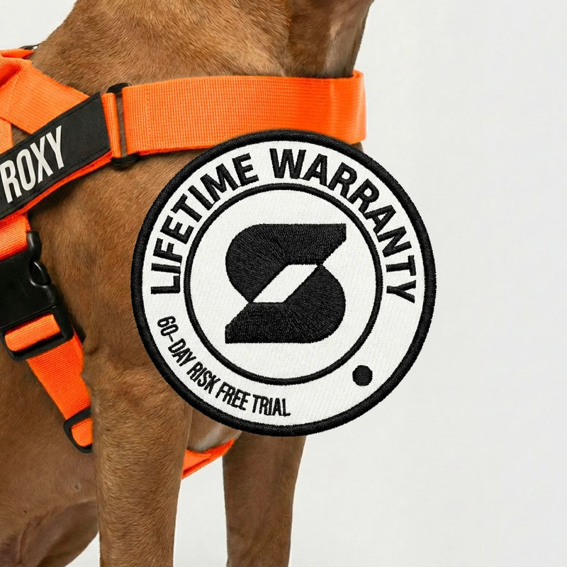 Dog Harness