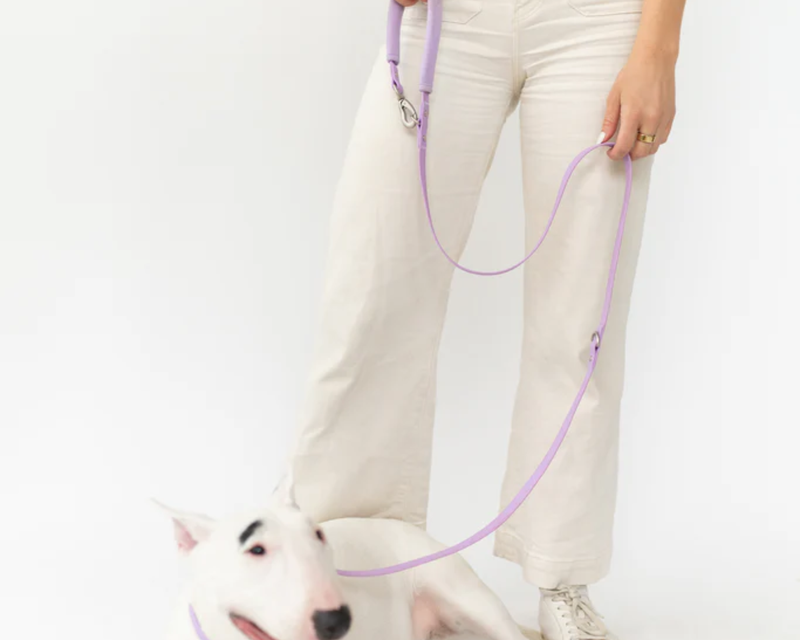 Dog Leash