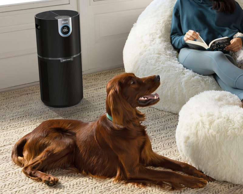 Air Purifier MAX with True NanoSeal HEPA